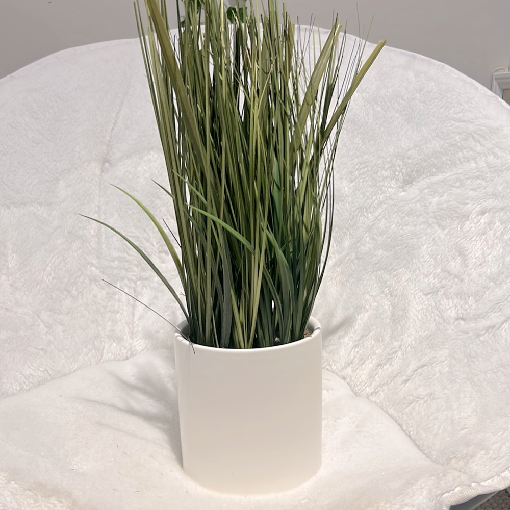 gorgeous fake plant that will make any room look more modern or pretty!!🪴🫶